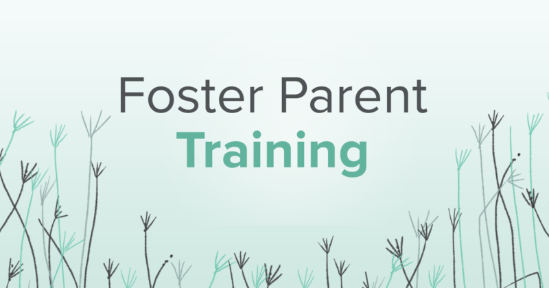 Foster Parent Training